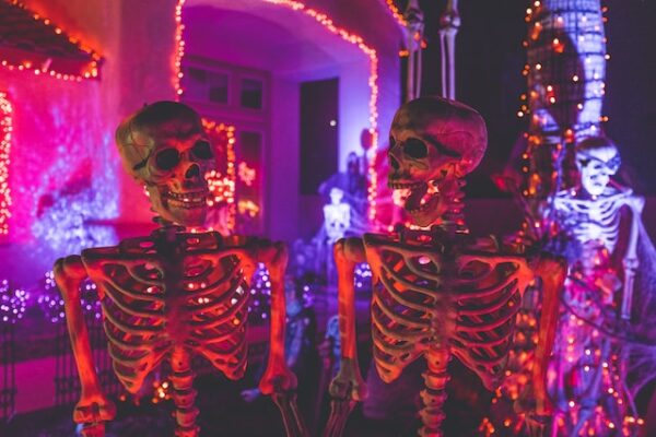 skeletons in haunted house attraction