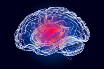 colorful image of brain