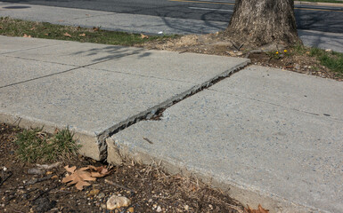 cracked sidewalk