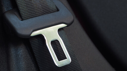car seatbelt